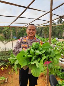 Kapolres Anambas Garap Lahan Rumah Dinasnya