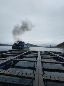 28 Ton Kapal Hongkong Bawa Ikan Eksport Anambas