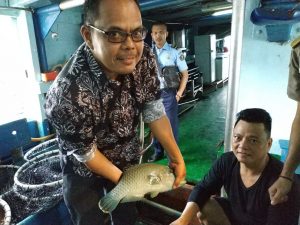 Dirjen Budidaya Suport Nelayan Anambas Eksport Ikan