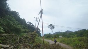 Pohon Besar Tumbang Tiang Listrik Patah