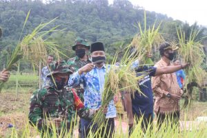 Bupati Bangga Petani Anambas Berhasil Panen Padi Saat Masa Pandemi Covid-19
