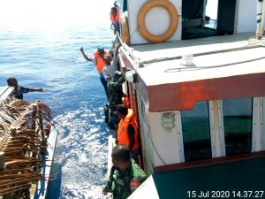 Sepekan Mengapung Kapal Angkut Sapi Selamat