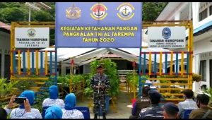 Lanal Tarempa Gelar Panen Raya Tanaman Hidroponik