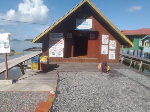 Desa Piabung Dijuluki Kampung Bilis, Ada Apa?
