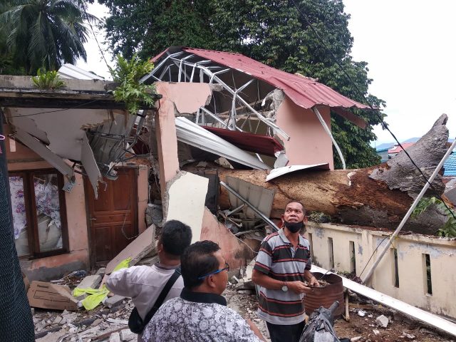 Geger…! Pohon Besar Makan Korban