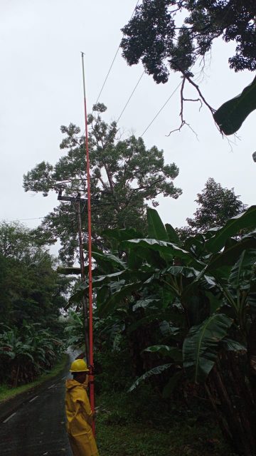 Listrik Padam Mendadak, Kepala PLN Curhat