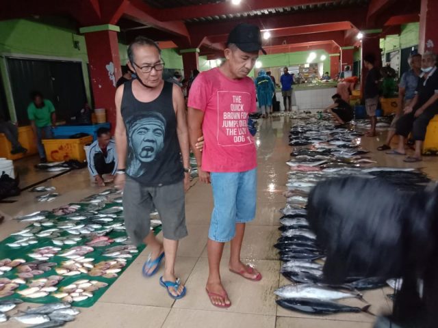 Musim Utara Tidak Pengaruh Stock Ikan Di Pasar