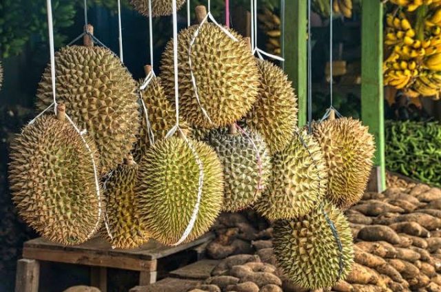 Buah Durian Tetap Diburu Pembeli