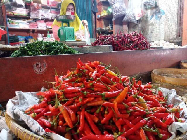 Cabe Setan Meroket Naik Sejak PPKM