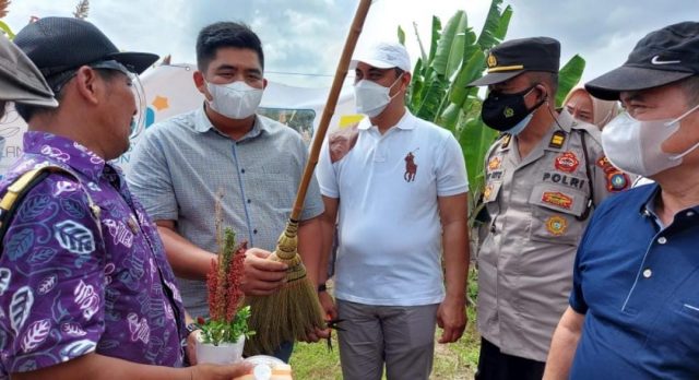 Dorong Sorgum Jadi Pangan Alternatif, Roby : Target Kedepan Bintan Menjadi Surga Tanaman Sargum