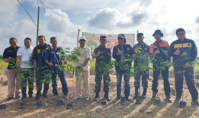 Rayakan Hari Pers Nasional, 1.000 Pohon Ditanam Hijaukan Jalan Lintas Barat