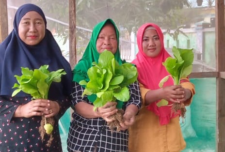 Memanfaatkan Pekarangan Rumah Untuk Ketahanan Pangan Keluarga