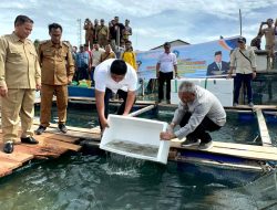 Pemkab Bintan Serahkan 40 Ribu Ekor Benih Kerapu Cantang, Perkuat Produksi Perikanan Budidaya Mantang