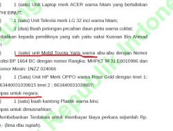 Pemilik Mobil Rental Di Bintan Keluhkan Kendaraannya Dirampas Negara, Merasa Ada Yang Aneh