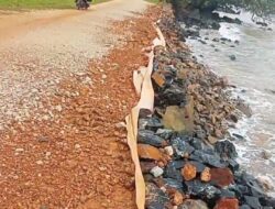 Warga Kecewa Pembangunan Jalan Lingkar Pulau Tiga Barat Belum Lama Sudah Rusak