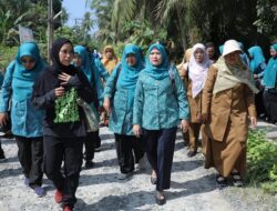 Ketua PKK Kabupaten Asahan Monitoring Lomba Hatinya PKK Tingkat Sumut di Desa Banjar