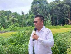 Wings Air Kurangi Penerbangan Letung–Batam, Bupati Anambas Layangkan Protes Keras