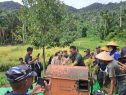 Bupati Anambas Apresiasi Petani Desa Rewak dalam Panen Raya Padi