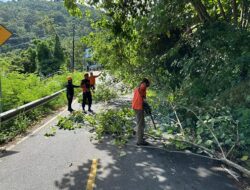 BPBD Anambas Tata Pohon di Bukit Tengkorak, Prioritaskan Keselamatan Pengendara