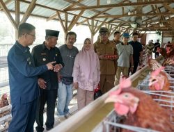 Bupati Karimun Ing Iskandarsyah Resmikan Ketahanan Pangan Usaha Ayam Petelur BUM Desa Pongkar Jaya