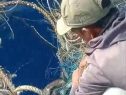 Pahlawan Konservasi Laut: Nelayan Jemaja Andrika Selamatkan Dua Penyu dari Jeratan Sampah dan Jaring Hanyut