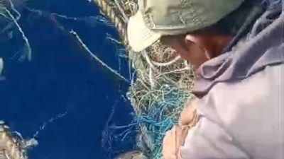 Pahlawan Konservasi Laut: Nelayan Jemaja Andrika Selamatkan Dua Penyu dari Jeratan Sampah dan Jaring Hanyut