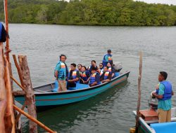 Bintan Mangrove Cottage Kembali Ramaikan Wisata Mangrove Di Bintan, Yuk Liburan!