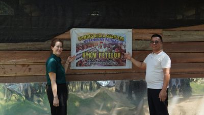 Putus Rantai Monopoli Telur Luar, Bupati Aneng Dorong Anambas Mandiri Pangan