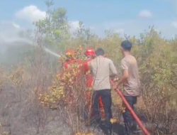 237 Hektar Lebih Kebakaran Hutan dan Lahan Di Natuna Menjadi Perhatian Pusat