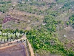 Perambahan Hutan Lindung Sei Jago Salah Satu Faktor Debit Air PDAM Tanjuguban Cepat Menyusut