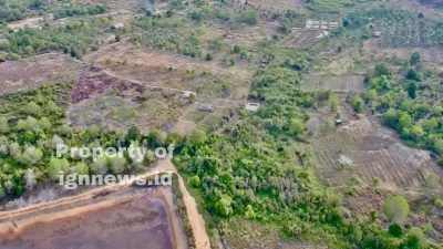 Perambahan Hutan Lindung Sei Jago Salah Satu Faktor Debit Air PDAM Tanjuguban Cepat Menyusut
