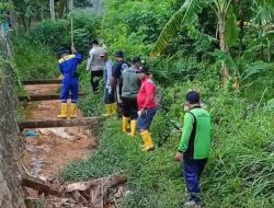 BPBD Lakukan Penyisiran Keberadaan Buaya Di Perumahan Telaga Surya Tanjunguban