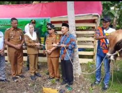 Bupati Cen Serahkan Sapi Kurban Dari Presiden Prabowo Untuk Masyarakat Terluar Natuna