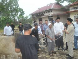 Pantau Pemotongan Hewan Kurban, Bupati Karimun Syukuri Peningkatan Kesadaran Sosial Warga