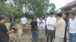 PUPR Karimun Konsisten Potong Hewan Kurban, Hasilnya Disalurkan untuk Tekan Stunting di Dua Kelurahan