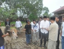 PUPR Karimun Konsisten Potong Hewan Kurban, Hasilnya Disalurkan untuk Tekan Stunting di Dua Kelurahan