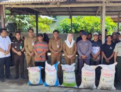 Usulan, 394 Ton Pupuk Bersubsidi Kebutuhan Petani, Baru Terealisasikan 200 Ton