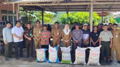 Usulan, 394 Ton Pupuk Bersubsidi Kebutuhan Petani, Baru Terealisasikan 200 Ton