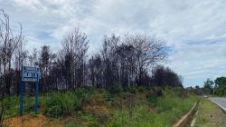 Lahan “Menganggur” Perusahaan Dominasi Kasus Karhutla Di Kecamatan Seri Kuala Lobam