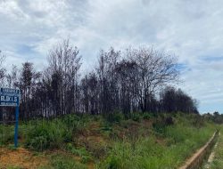 Lahan “Menganggur” Perusahaan Dominasi Kasus Karhutla Di Kecamatan Seri Kuala Lobam