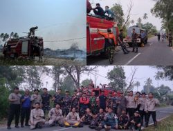 Kolaborasi antara Instansi, Berhasil Padamkan Kebakaran Lahan Kosong Seluas 15 hektare Di Cemaga