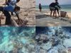 Komunitas Selam Natuna inisiasi gerakan bersih pantai di Pulau Senua