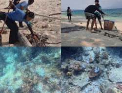 Komunitas Selam Natuna inisiasi gerakan bersih pantai di Pulau Senua