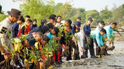 PT BIIE Dan Satgas TMMD Bintan Tanam 3.500 Mangrove Untuk Lestarikan Ekosistem Pesisir