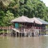 Boat Wisata Mangrove PT Bintan Resort Cakrawala Tabrakan, Dua Warga Negara Asing Alami Luka-Luka