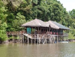 Boat Wisata Mangrove PT Bintan Resort Cakrawala Tabrakan, Dua Warga Negara Asing Alami Luka-Luka