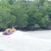 Kecelakaan Di Sungai, Kapal Wisata Mangrove PT Bintan Resort Cakrawala Langgaran Aturan Pelayaran