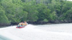 Kecelakaan Di Sungai, Kapal Wisata Mangrove PT Bintan Resort Cakrawala Langgaran Aturan Pelayaran
