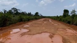 Aktivitas Penimbunan Rawa Di Kawasan Hutan Lindung Sei Jeram Desa Lancang Kuning Dikabarkan Diamankan Polisi