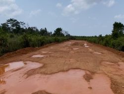 Aktivitas Penimbunan Rawa Di Kawasan Hutan Lindung Sei Jeram Desa Lancang Kuning Dikabarkan Diamankan Polisi